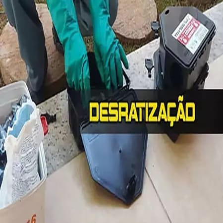 Desinsetização no Alphaville em Nova Lima MG